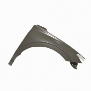 BYD Right fender