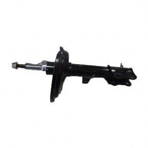 BYD Rear right shock absorber